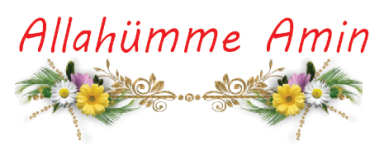 allahumeamin (9).png